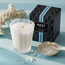 Nest Ocean Mist & Seasalt Classic Candle / 8.1OZ