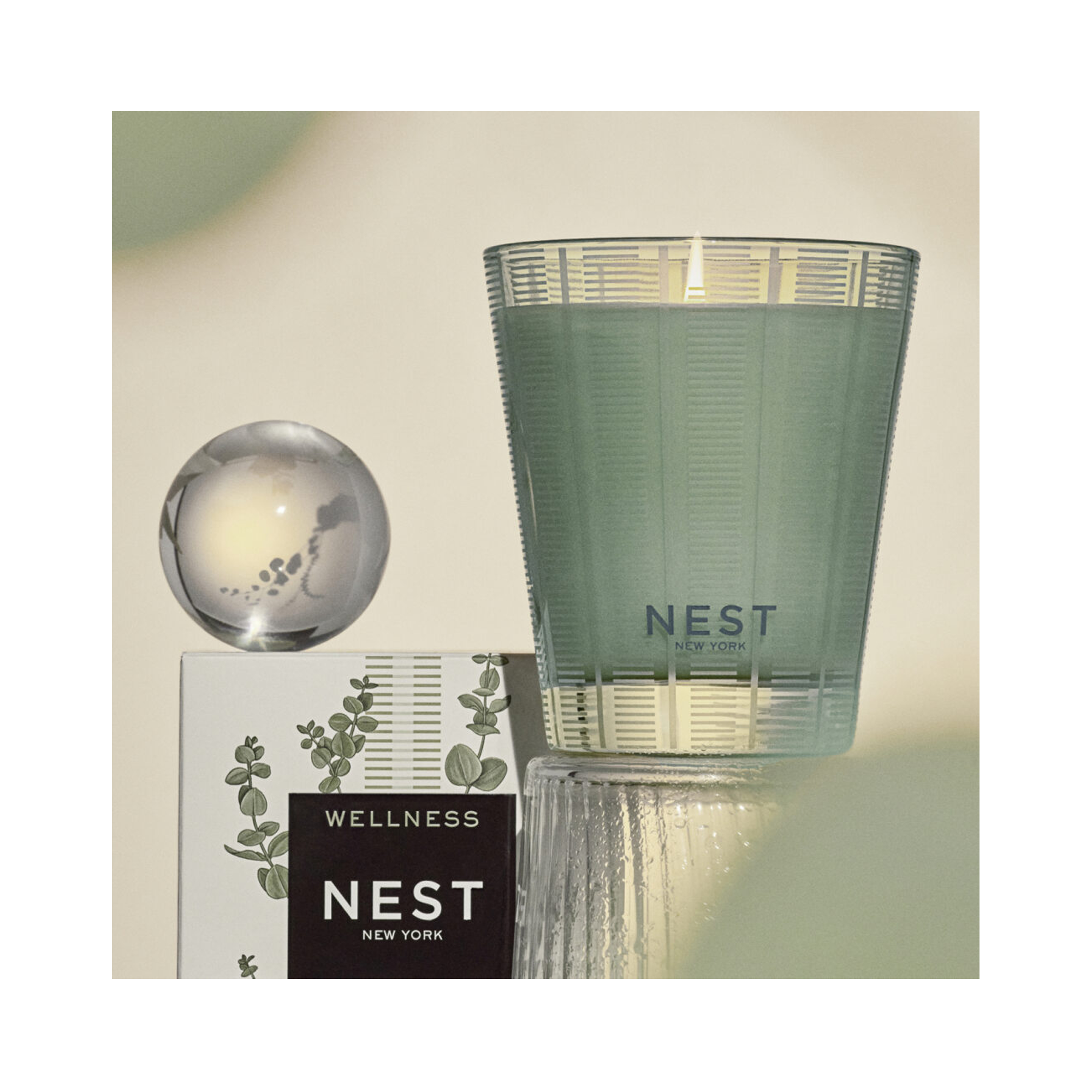 Nest Wild Mint & Eucalyptus Classic Candle 8.1OZ / 8.1OZ