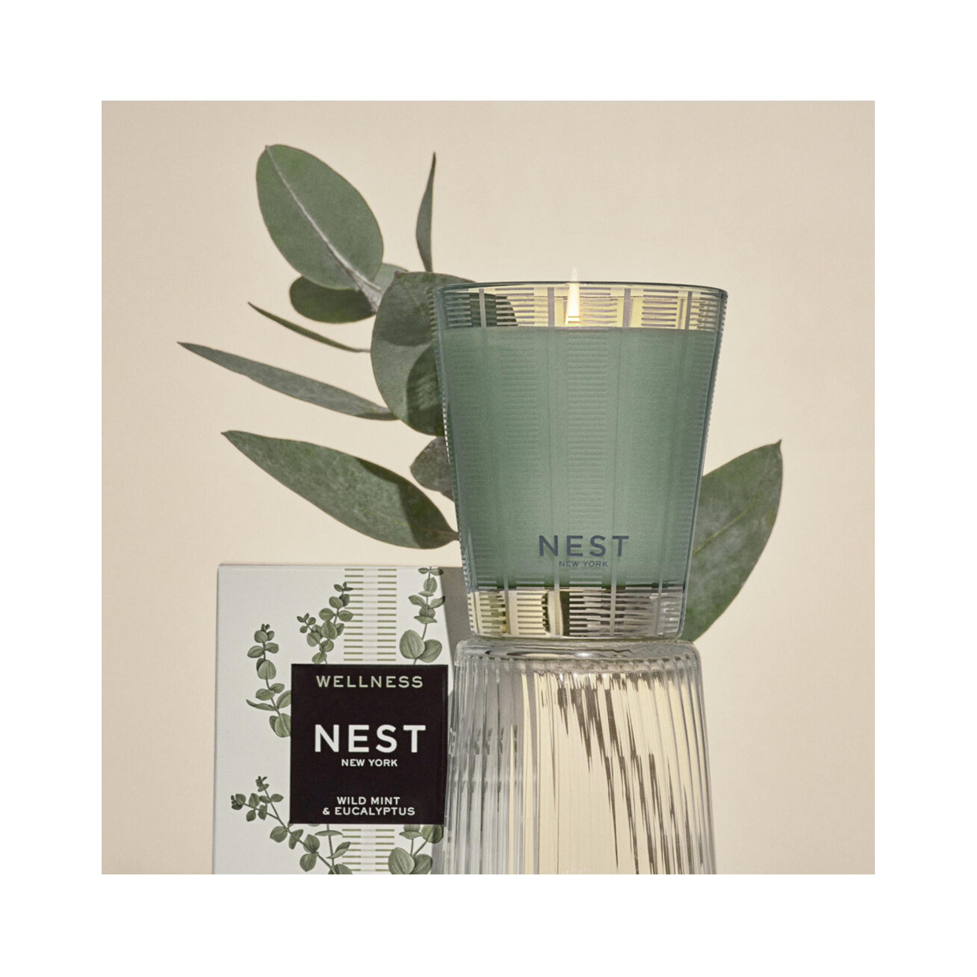 Nest Wild Mint & Eucalyptus Classic Candle 8.1OZ / 8.1OZ