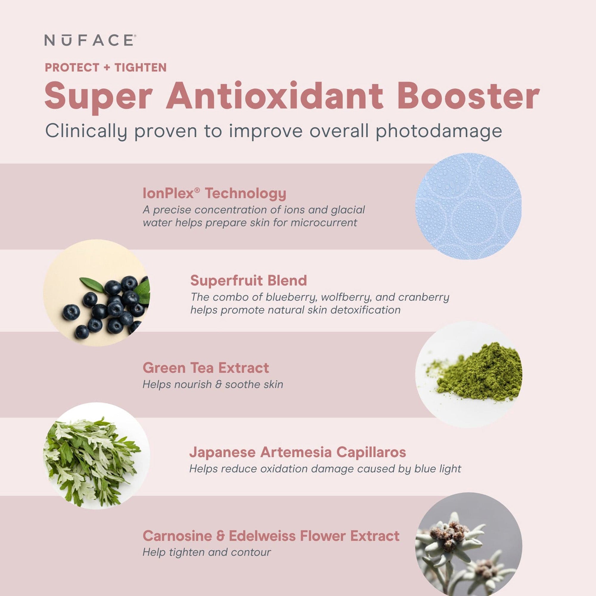 Nuface Super Antioxidant Booster / 1OZ