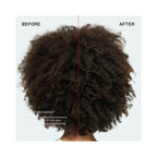 Olaplex Total Hair Repair Set - Holiday 2026 / SET