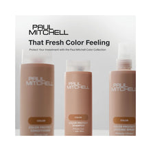Paul Mitchell Color Protect Locking Spray / 8.5OZ