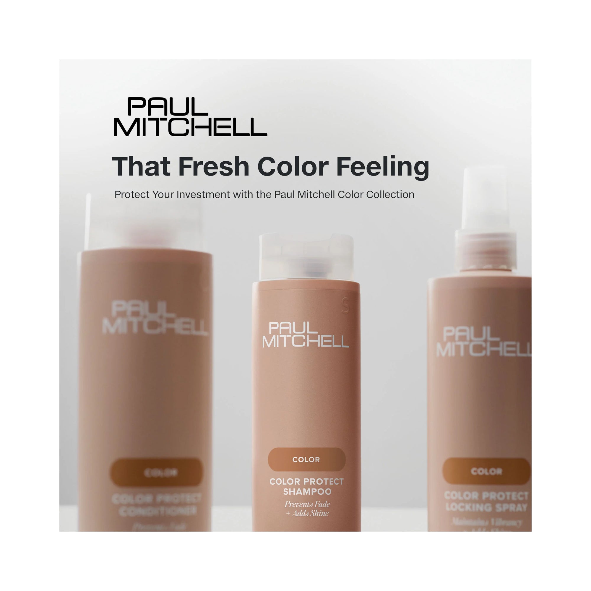 Paul Mitchell Color Protect Locking Spray / 8.5OZ