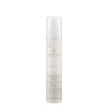 Paul Mitchell Awapuhi Wild Ginger HydroMist Blowout Spray - 5.1oz / 5.1 oz
