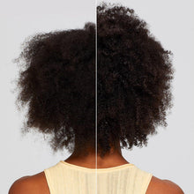 Paul Mitchell Clean Beauty Everyday Conditioner - 33oz / 33OZ