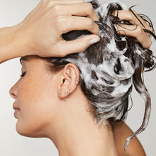 Paul Mitchell Awapuhi Ginger HydraSoft Shampoo and Conditioner Duo - 33oz / 33OZ