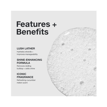 Paul_Mitchell_Original_Awapuhi_Shampoo_10.14oz / 10.14