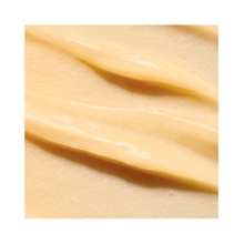 Paul_Mitchell_Tea_Tree_Special_Color_Conditioner_10oz / 10.OZ