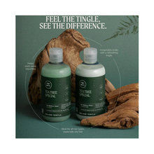 Paul_Mitchell_Tea_Tree_Special_Shampoo_10oz / 10.OZ