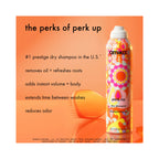 Amika Perk Up Dry Shampoo / 1.8OZ