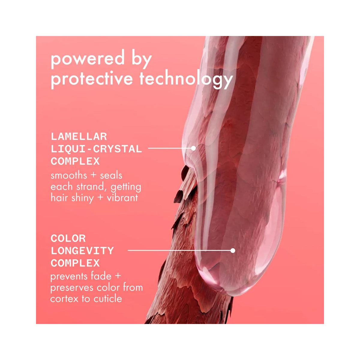 Amika The Protector Color Protect + Strengthen Shampoo / 33.8OZ, image 46182039355542
