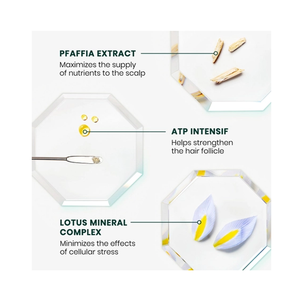 Rene_Furterer_Reactional_Thinning-Hair_Kit / KIT thumbnail 5
