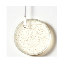 Rene Futerer TRIPHASIC Thickening Shampoo - Deluxe Size / 16OZ