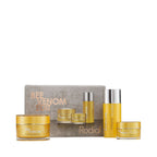Rodial Bee Venom Edit - Holiday 2026 / KIT