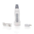 Saian Professional Strength Ultrasonic Skin Scrubber
