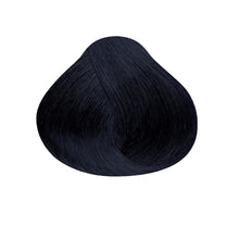 Satin Professional Hair Color / 1BB Blue Black