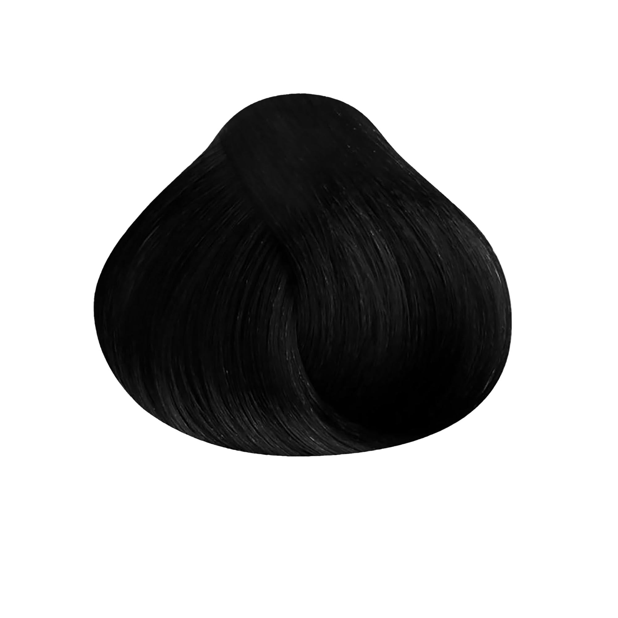 Satin Professional Hair Color / 1N Black / Swatch
