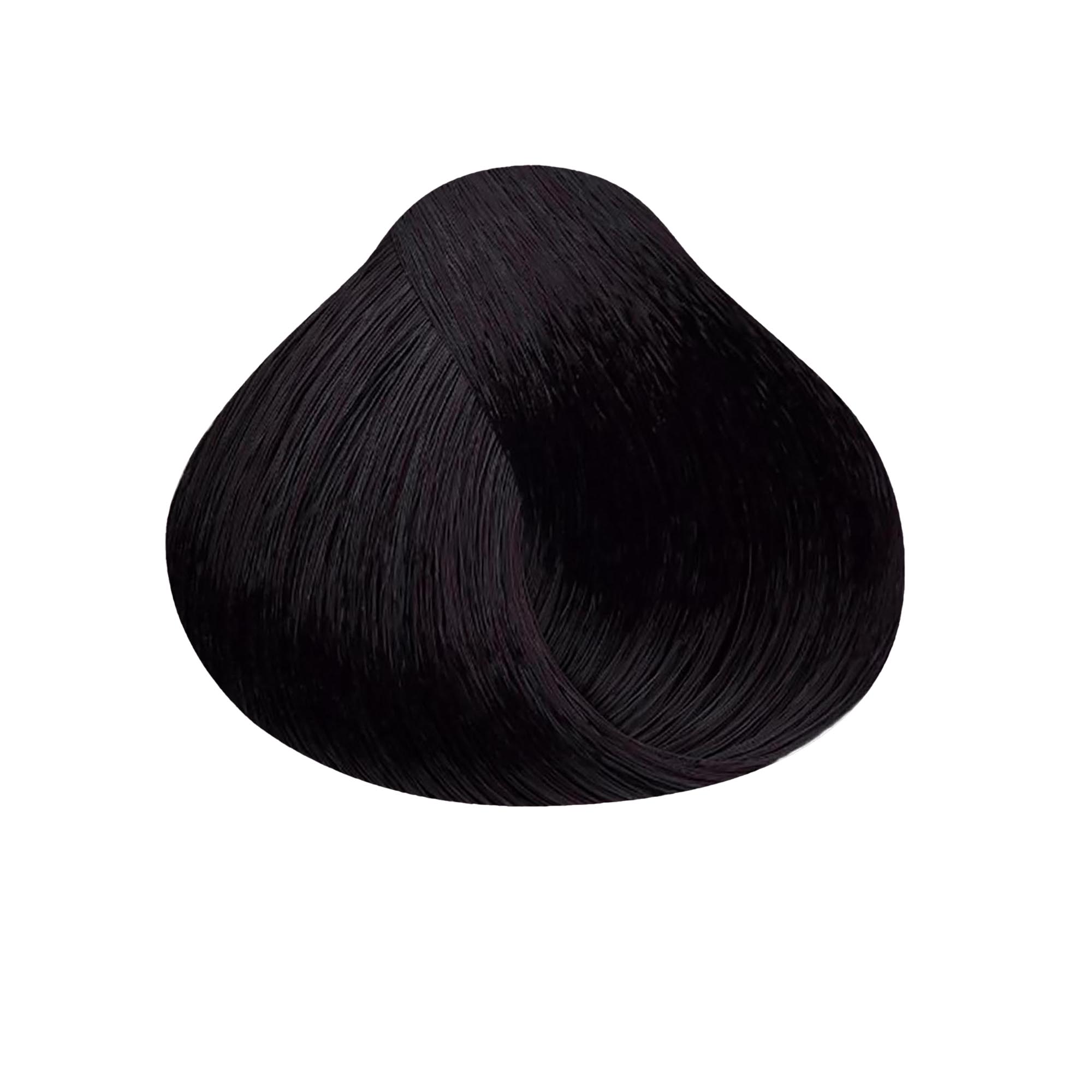Satin Professional Hair Color / 1V Violet Black / Swatch
