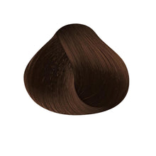 Satin Professional Hair Color / 4G Golden Brown / Swatch