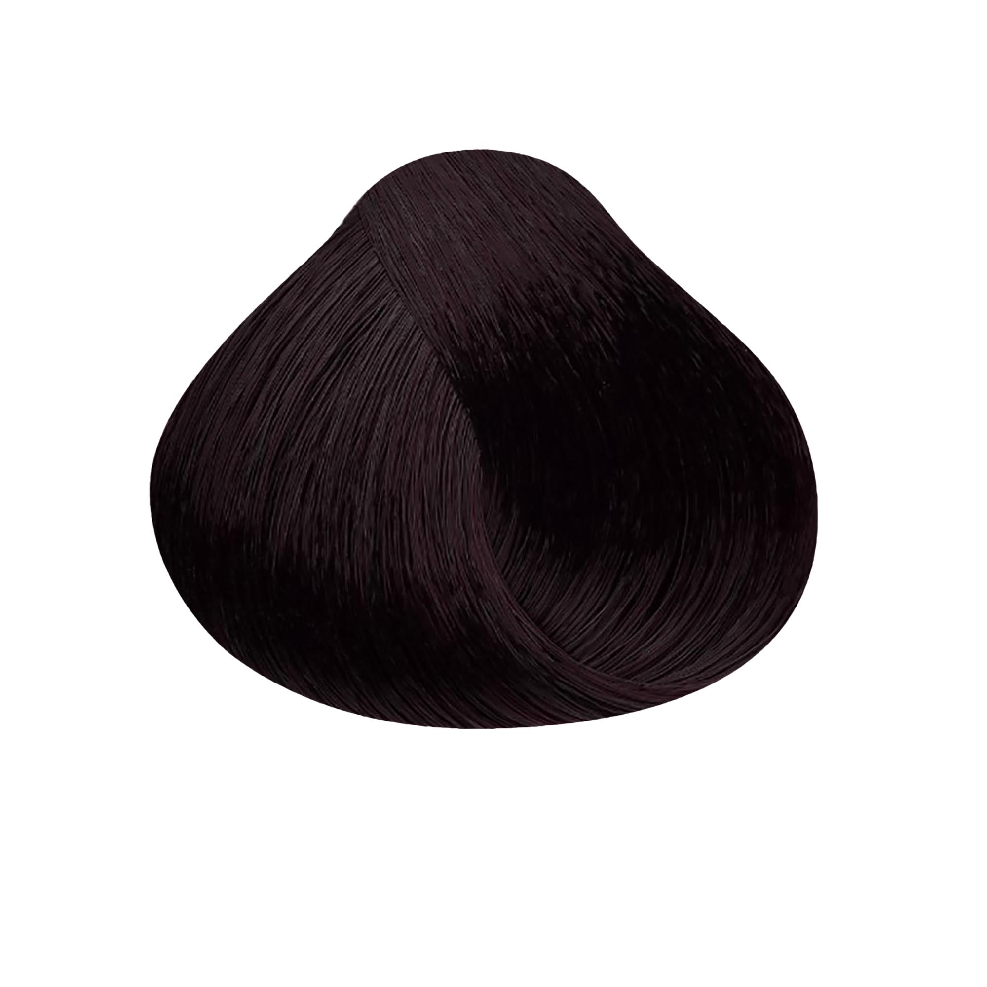 Satin Professional Hair Color / 4V Violet Brown / Swatch