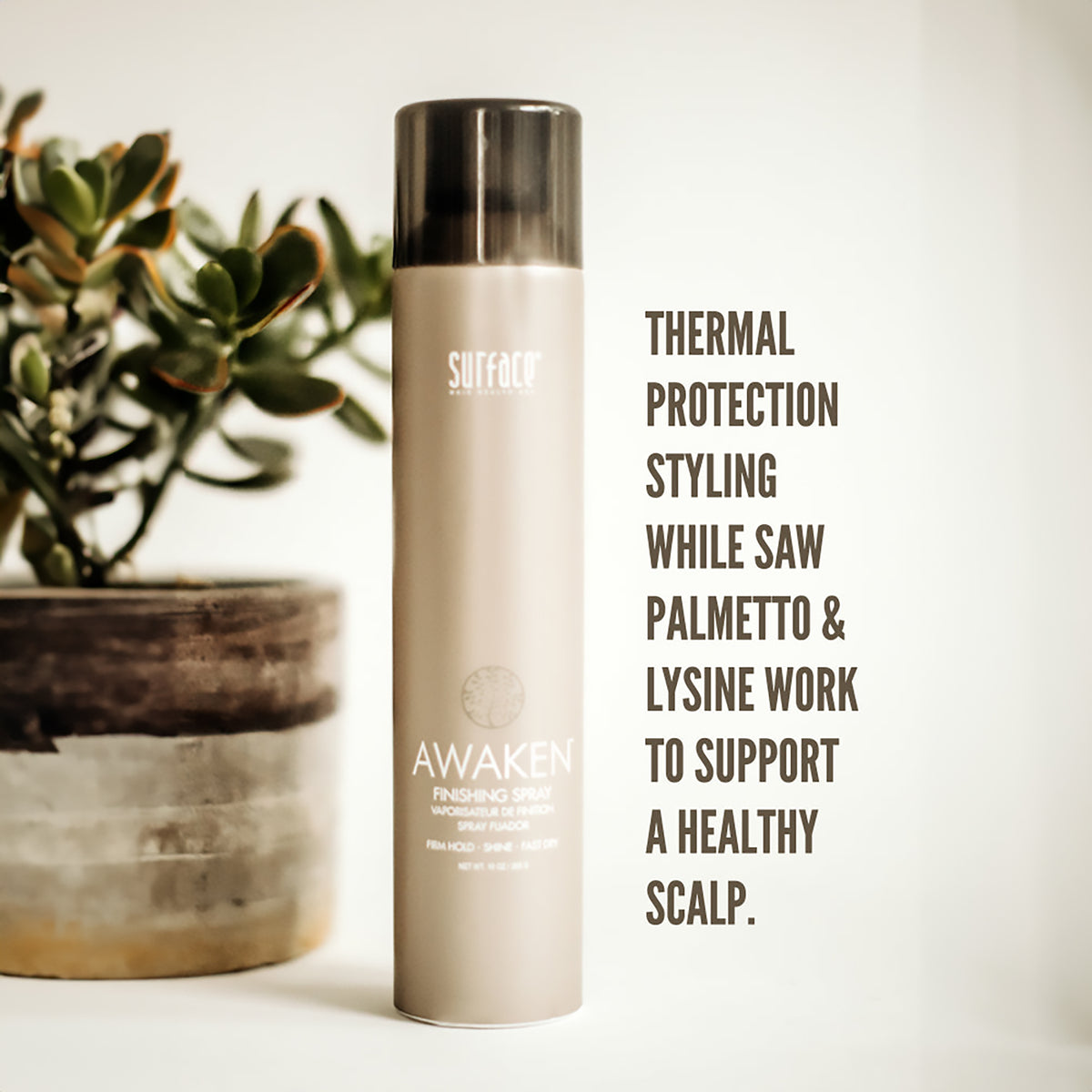 Surface Awaken Finishing Spray / 10OZ, image 27632707010710