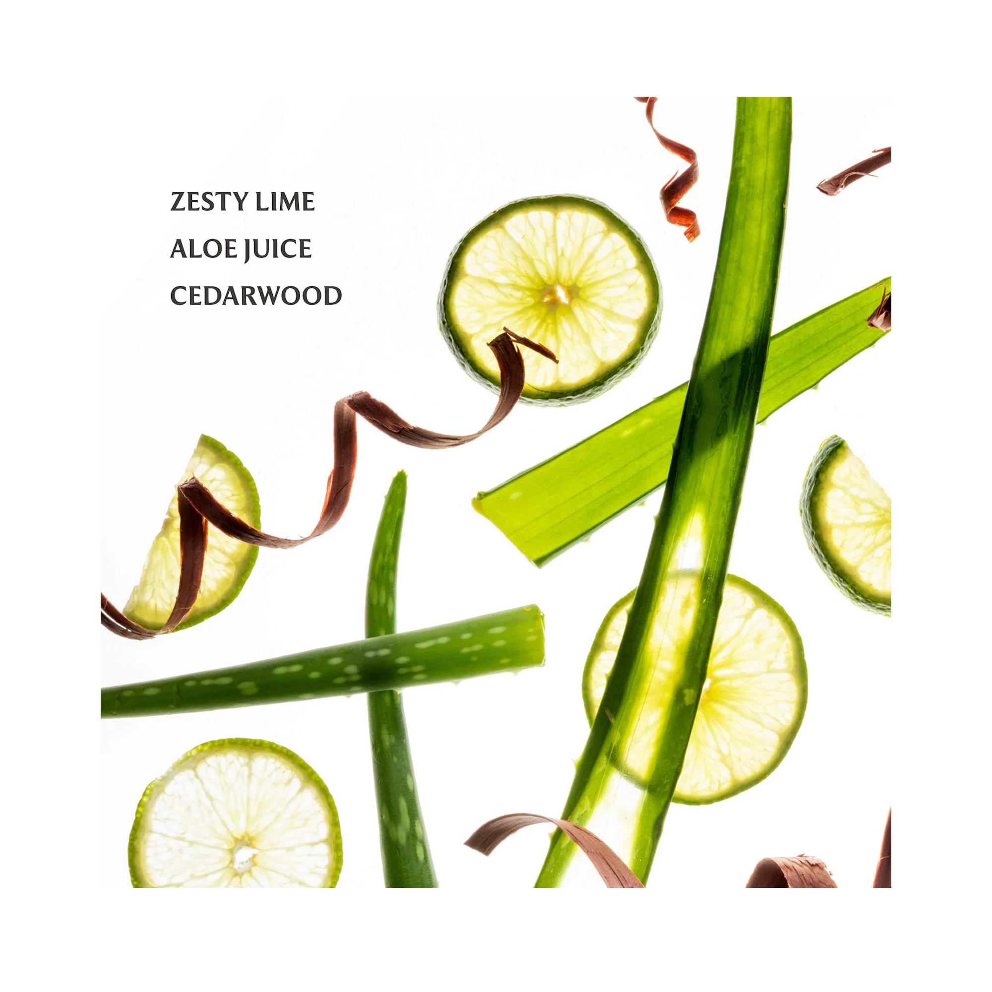 Touchland Powermist Hydrating Hand Sanitizer Aloe You / Aloe You