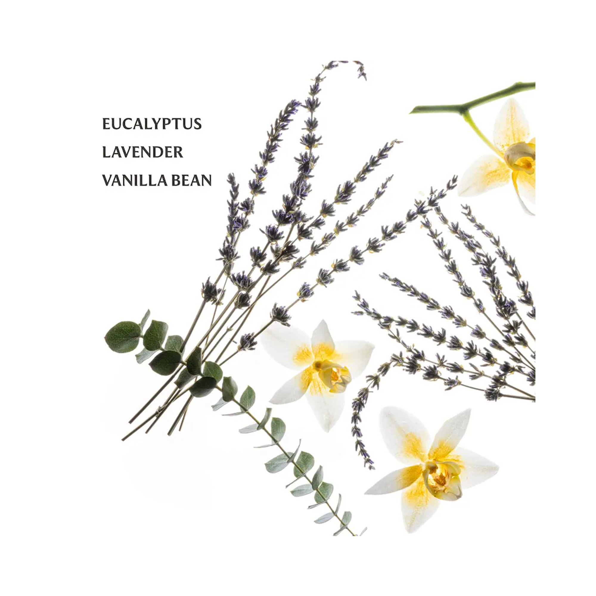 Touchland Powermist Hydrating Hand Sanitizer Pure Lavender / Pure Lavender