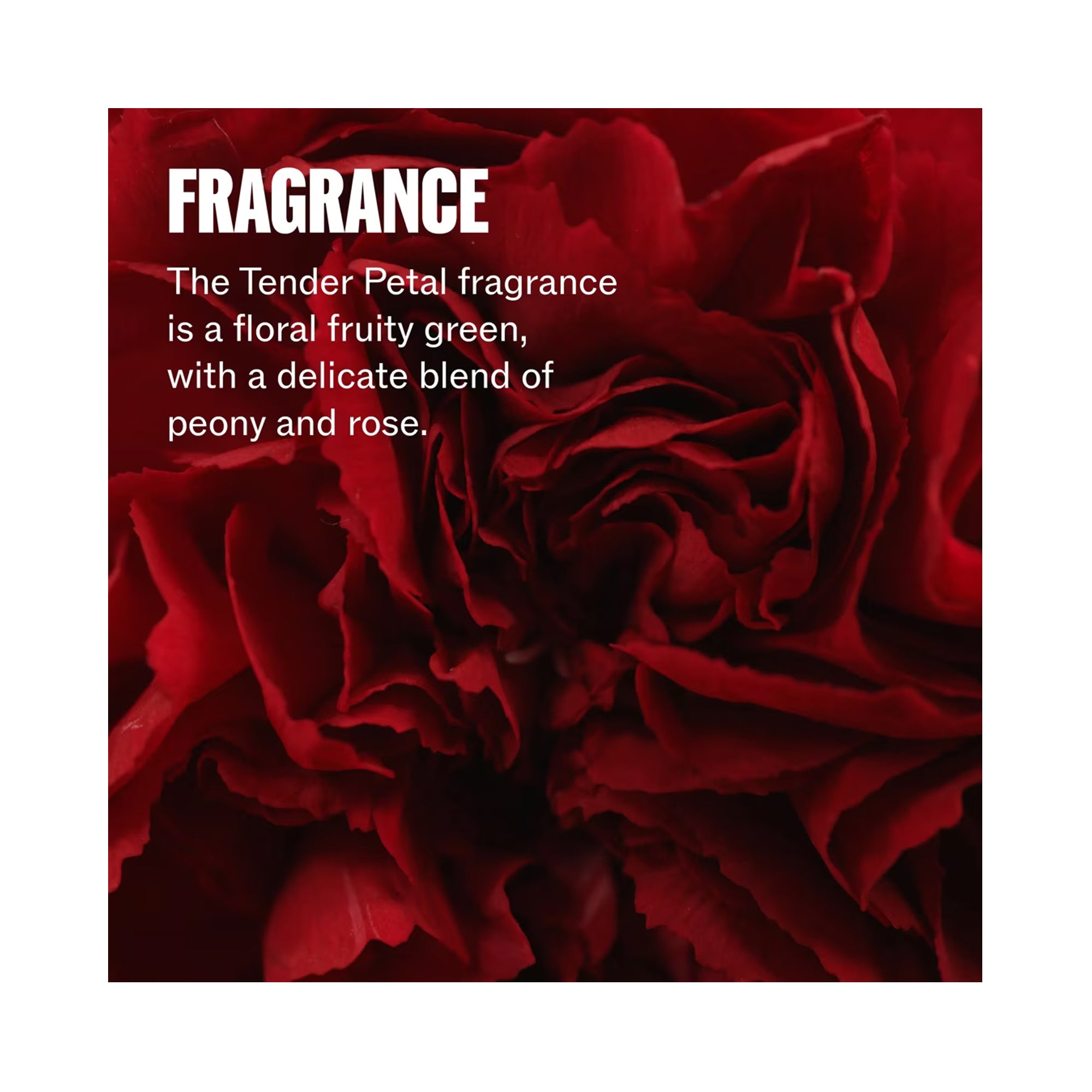 Wella Ultimate Repair Shampoo - 8.4oz / 8.4OZ