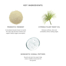 Virtue Flourish Conditioner / 6.7OZ