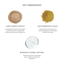 Virtue Flourish Density Booster / 4OZ