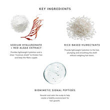 Virtue Flourish Shampoo / 8OZ