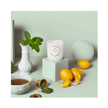 Voluspa_Maison_Blanc_Large_Jar_Candle_moroccan_mint_18oz / MOROCCAN MINT