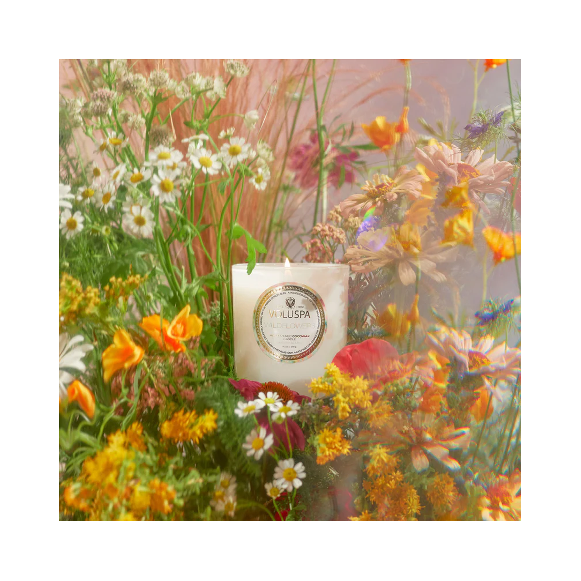 Voluspa_Maison_Blanc_Large_Jar_Candle_wildflowers_18_oz / Wildflowers