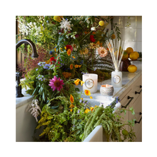 Voluspa Maison Blanc Large Jar Candle 18oz