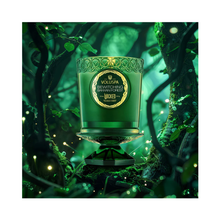 Voluspa_Wicked_Boxed_Candle_8.5_oz_bewitching_banyan_forest / Bewitching Banyan Forest