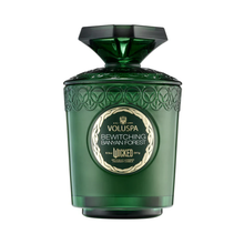 Voluspa_Wicked_Boxed_Candle_8.5_oz_bewitching_banyan_forest / Bewitching Banyan Forest