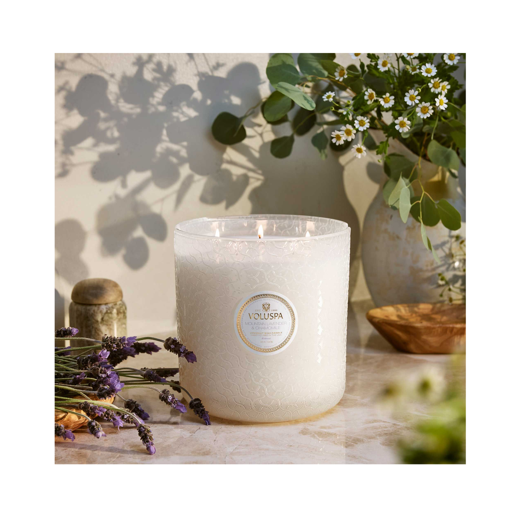 Voluspa_Blanc_Lux_Candle_30_oz_Mountain_Lavender_Chamomile / Mountain Lavender & Chamomile thumbnail 151