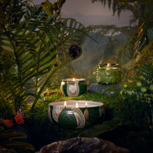 Voluspa Japonica 3 Wick Candle in Decorative Tin / Temple Moss