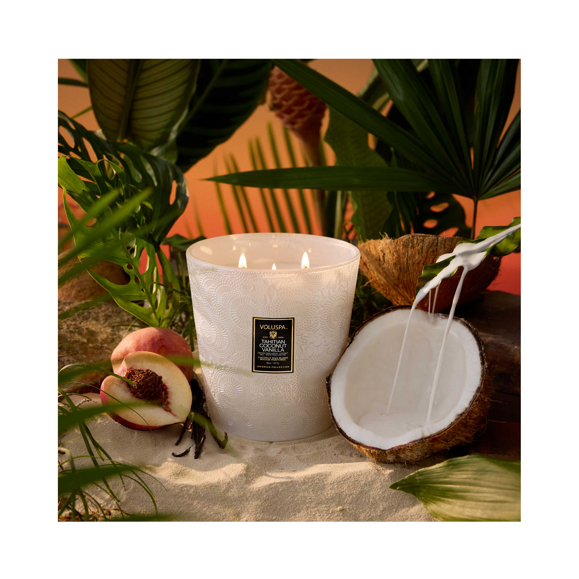 Voluspa Japonica 3 Wick Hearth Candle 38oz Tahitian Coconut Vanilla / Tahitian Coconut Vanilla