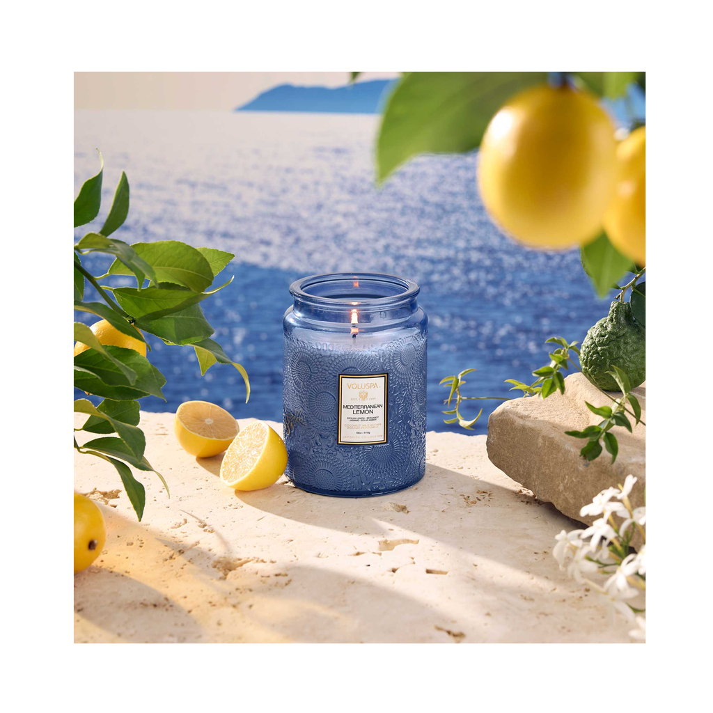Voluspa_Japonica_Large_Jar_Candle_18oz_mediterranean_Lemon / Mediterranean Lemon thumbnail 39