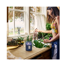 Voluspa_Japonica_Large_Jar_Candle_18oz_mediterranean_Lemon / Mediterranean Lemon