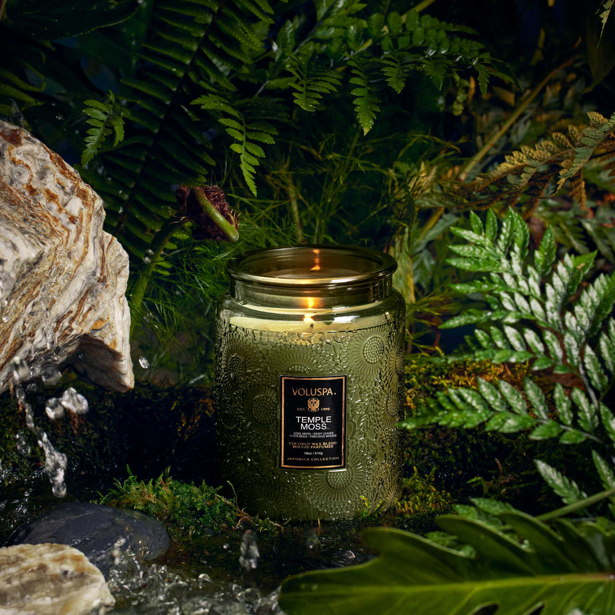 Voluspa Japonica Large Jar Candle 18oz / Temple Moss, image 27687053295766