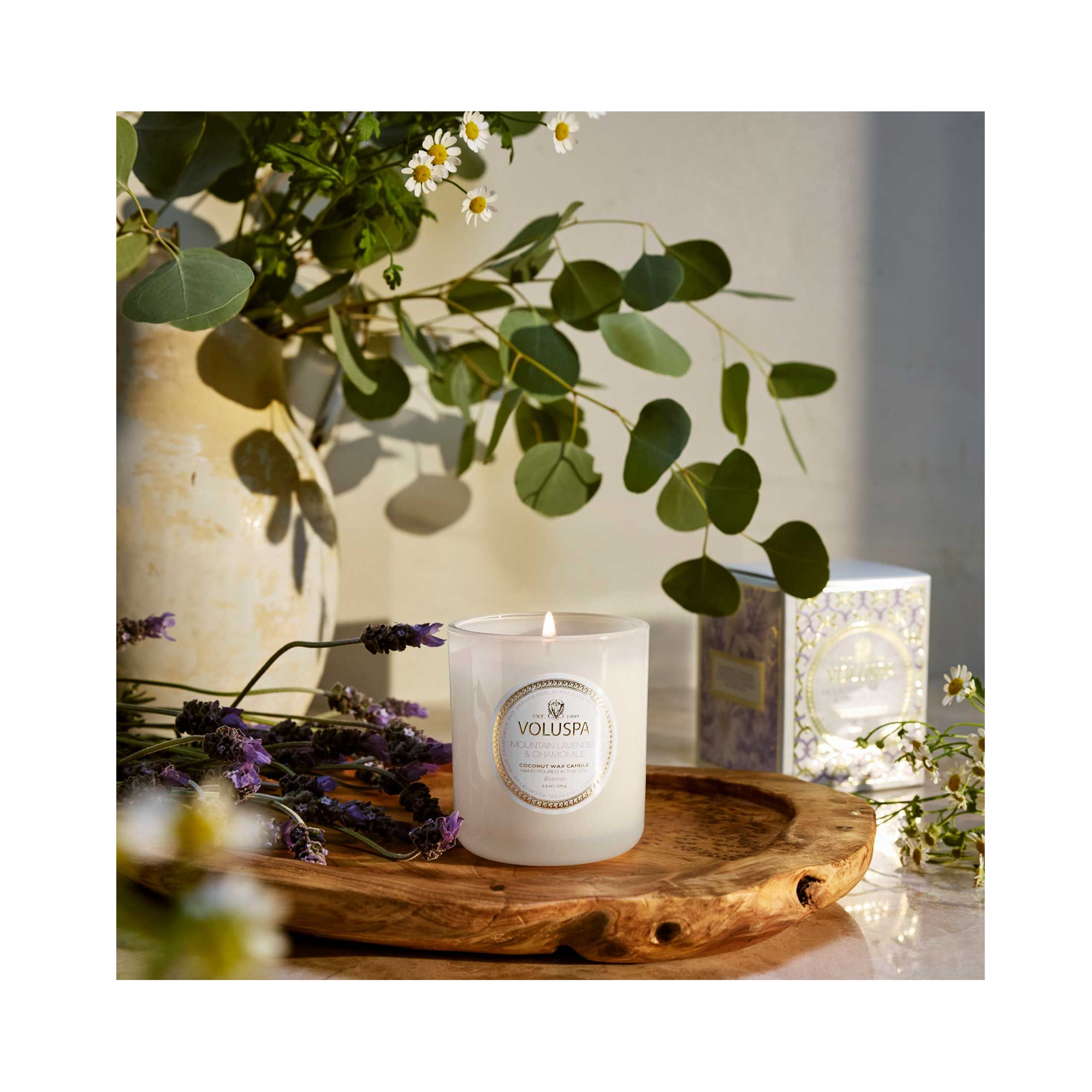 Voluspa_Maison_Blanc_Classic_Maison_Candle_9.5oz_Mountain_Lavender_Chamomile / Mountain Lavender & Chamomile