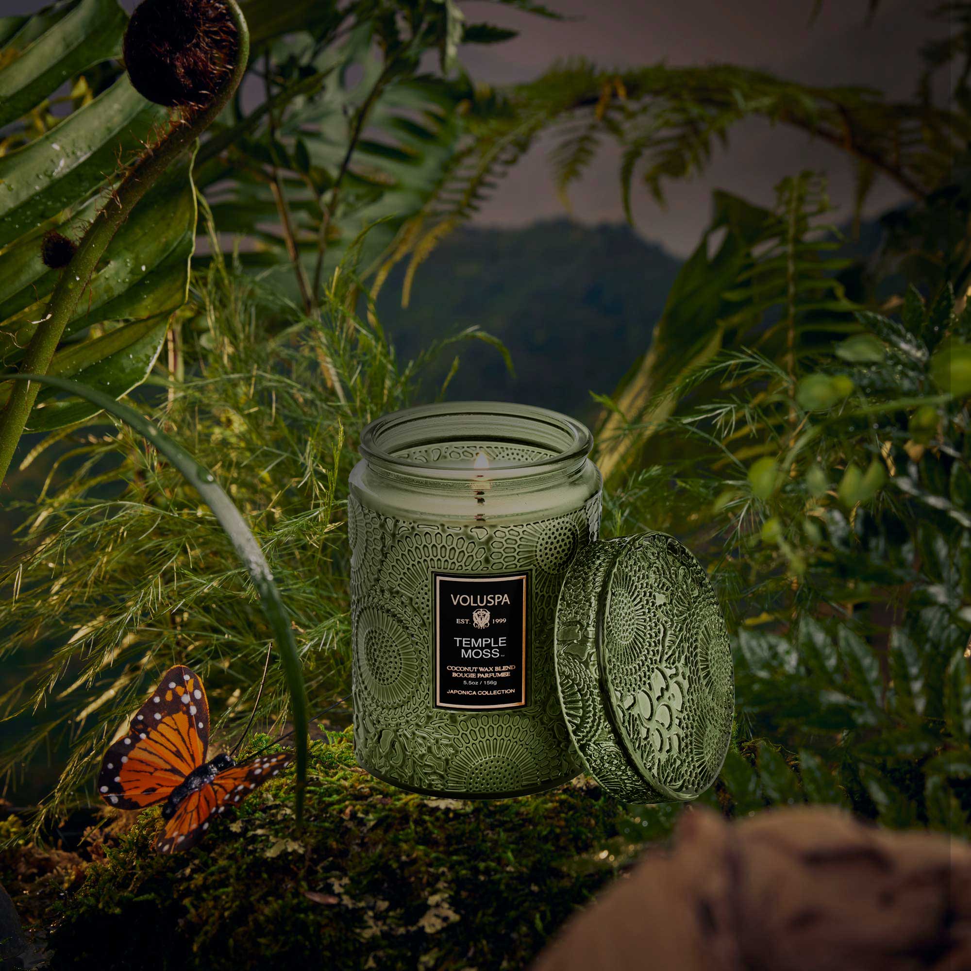 Voluspa Small Jar Candle / Temple Moss
