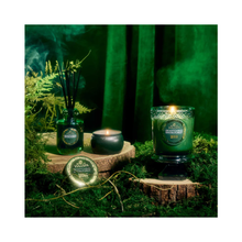 Voluspa_wicked_reed_diffuser_3.4oz_bewitching_banyan_forest / Bewitching Banyan Forest