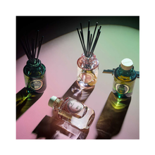 Voluspa_wicked_reed_diffuser_3.4oz_bewitching_banyan_forest / Bewitching Banyan Forest