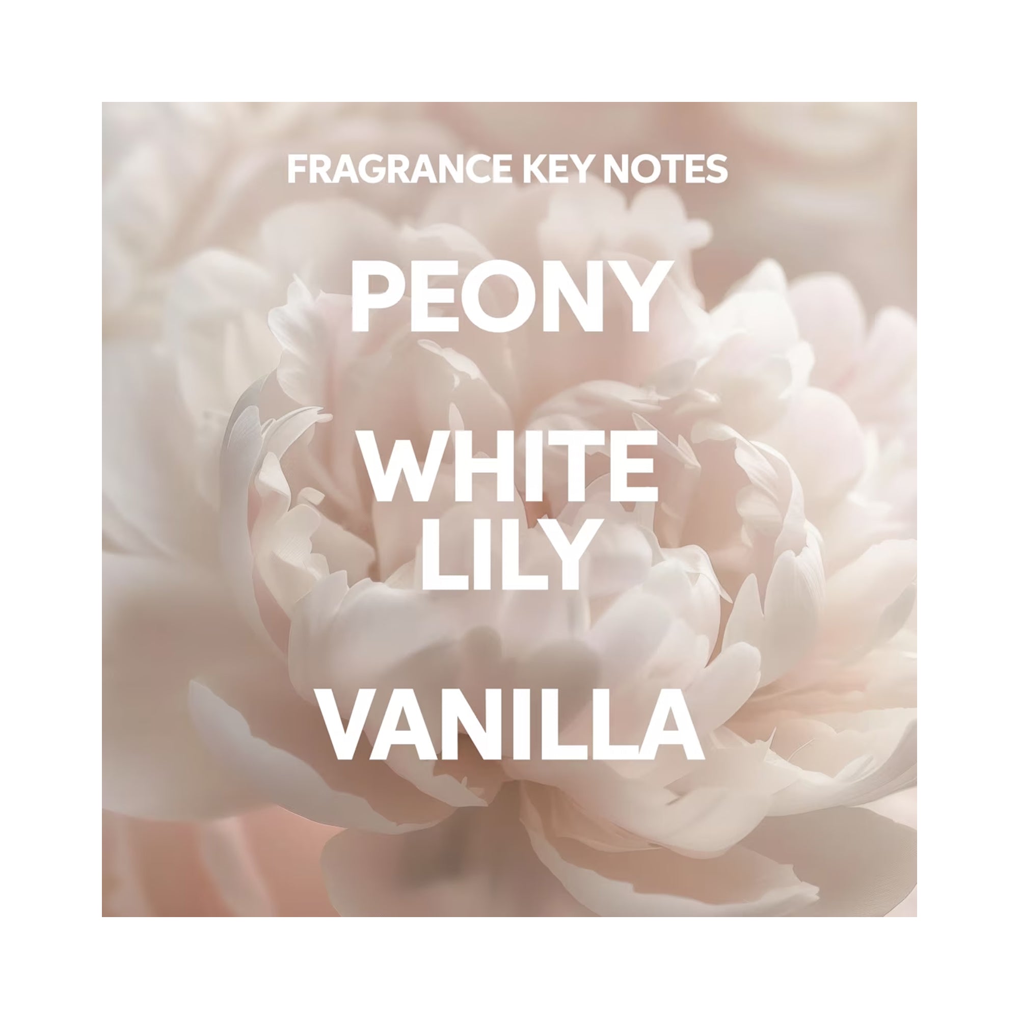 Wella Oil Reflections Luminous Instant Conditioner - 6.7oz / 6.7OZ