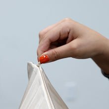 Blissy Silk Pillowcase Champagne Standard / CHAMPAGNE