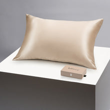 Blissy Silk Pillowcase Champagne Standard / CHAMPAGNE