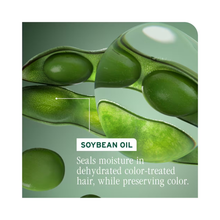 Biolage_Color_Last_Conditioner / 13.5OZ